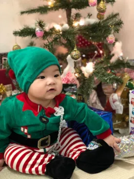 Robin Christmas Costume